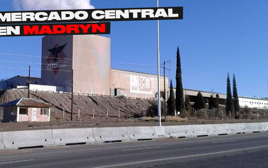 Madryn se Prepara para la Inauguración del Mercado Central en la Ex Cerámica San Lorenzo