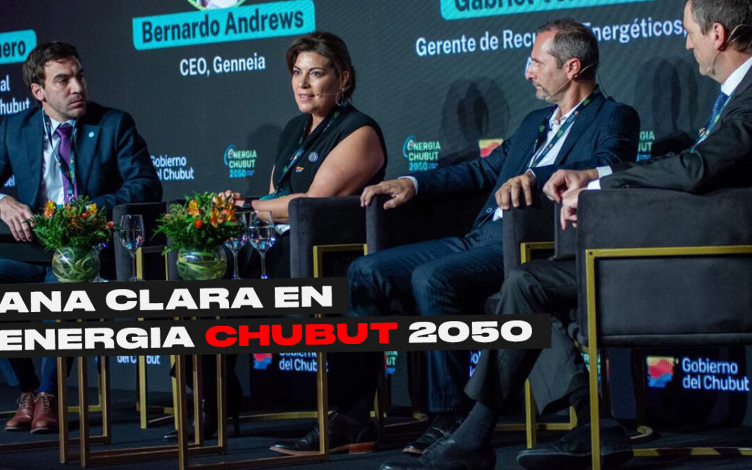 Chubut se posiciona como líder en la transición energética en “Energía Chubut 2050”