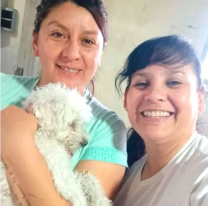 Dolavon realizó jornada de castración y vacunación de mascotas