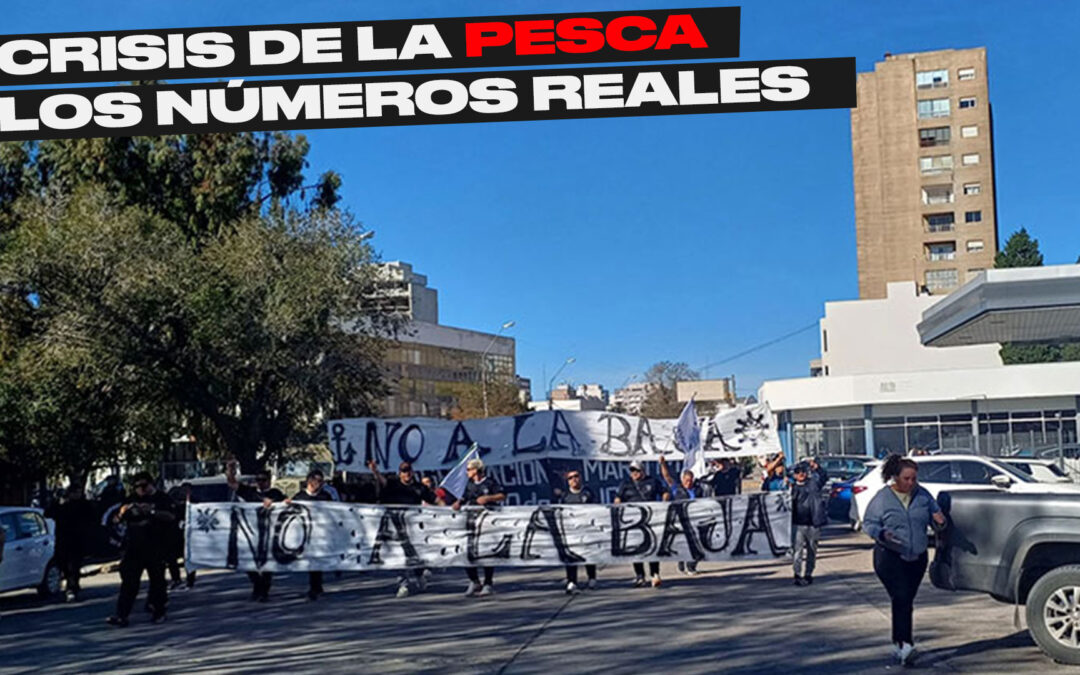 La pesca argentina en crisis: un conflicto por los números que paraliza la temporada