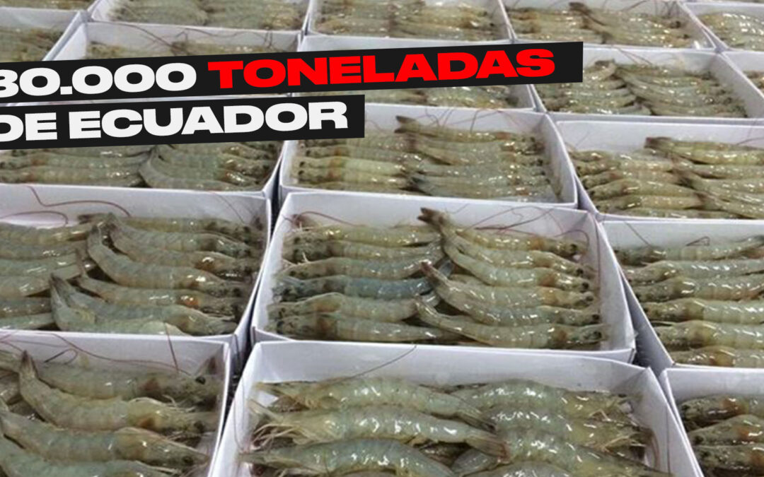 Empresas argentinas buscarán 80.000 toneladas de langostino Vannamei en Ecuador