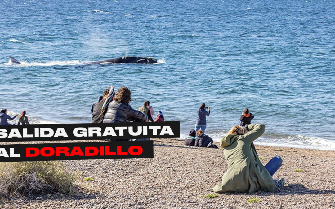 MADRYN | HABRÁ UNA NUEVA SALIDA GRATUITA AL ANP EL DORADILLO