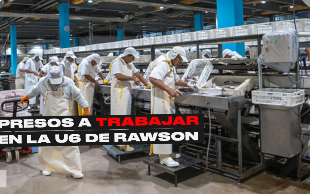 LA CÁRCEL DE RAWSON INAUGURÓ LA PRIMERA PLANTA EMPAQUETADORA DE PRODUCTOS DE MAR