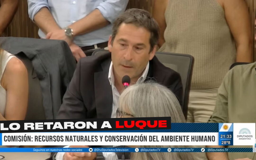 EL PAPELÓN DE LUQUE EN LA ÚNICA COMISIÓN QUE INTEGRA